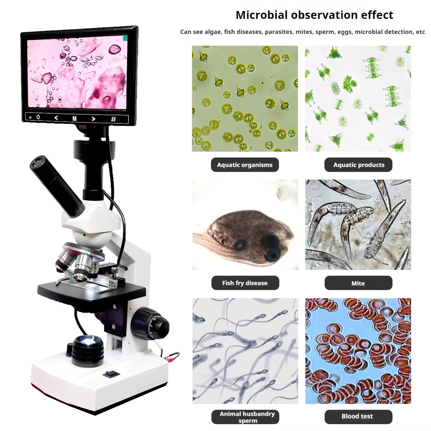 Top Selling HD Screen Digital  - Medical Lab recension och pris